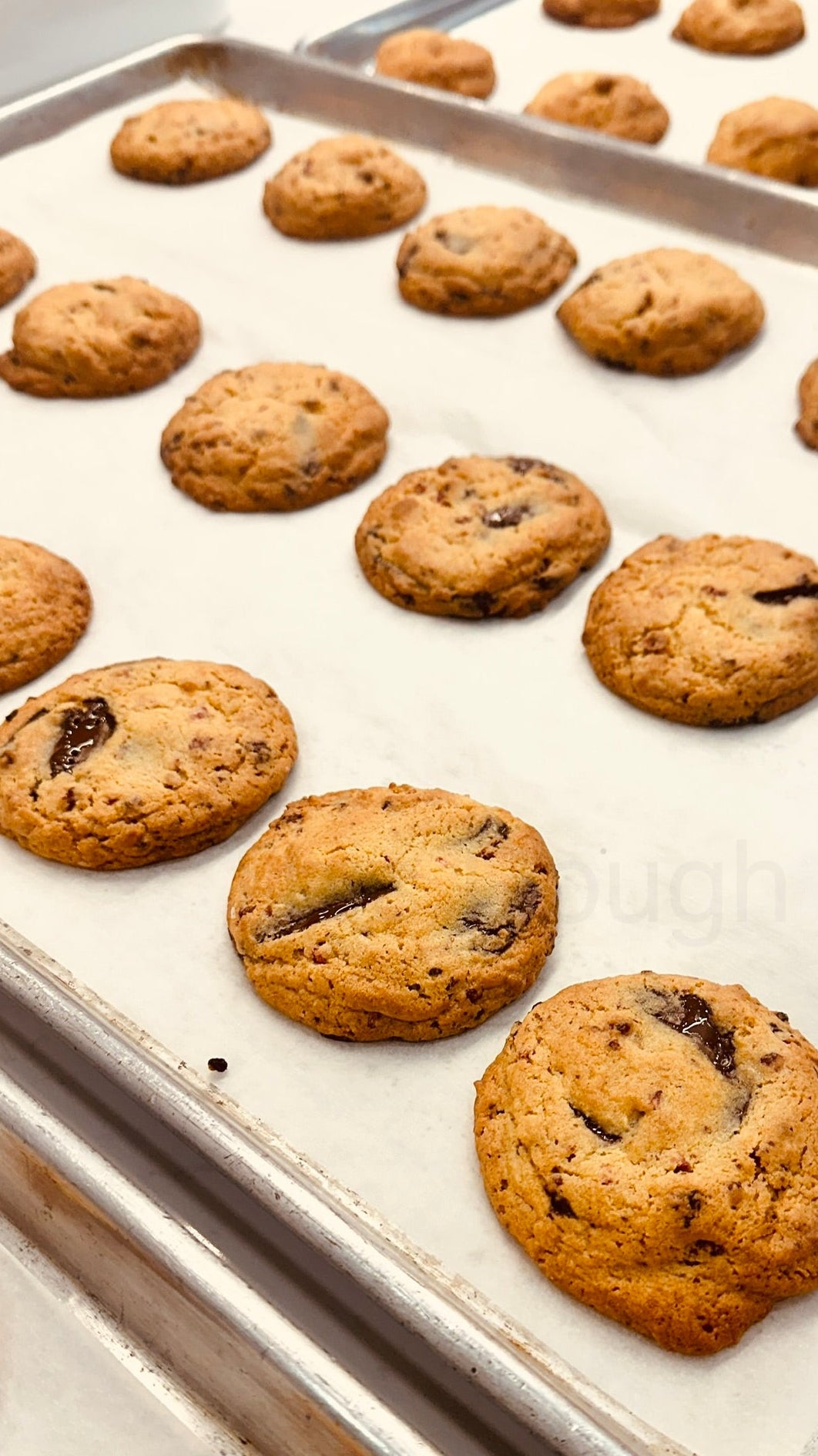 Chocolate Chip