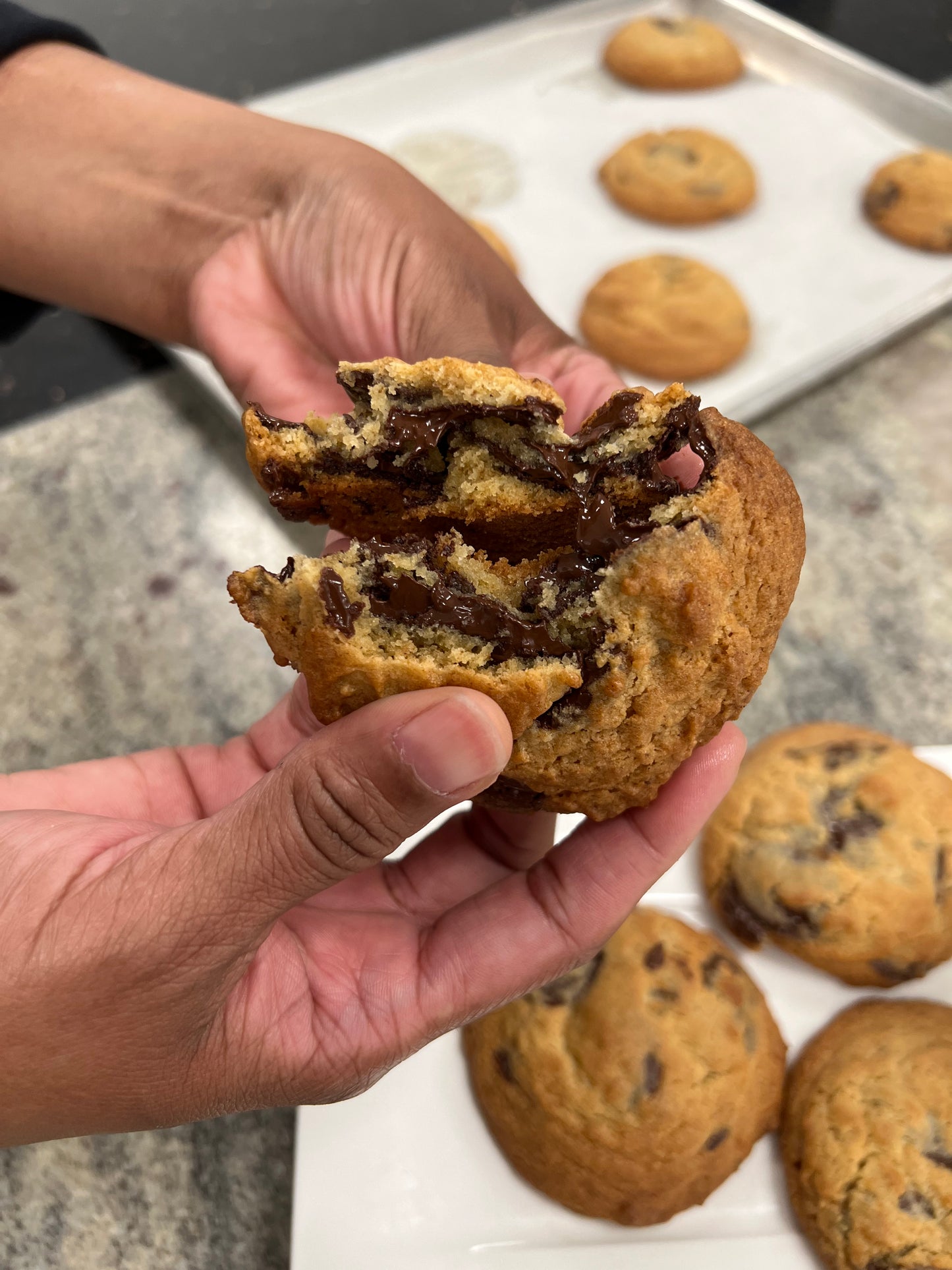 Chocolate Chip Cookie Dough Frozen Dough